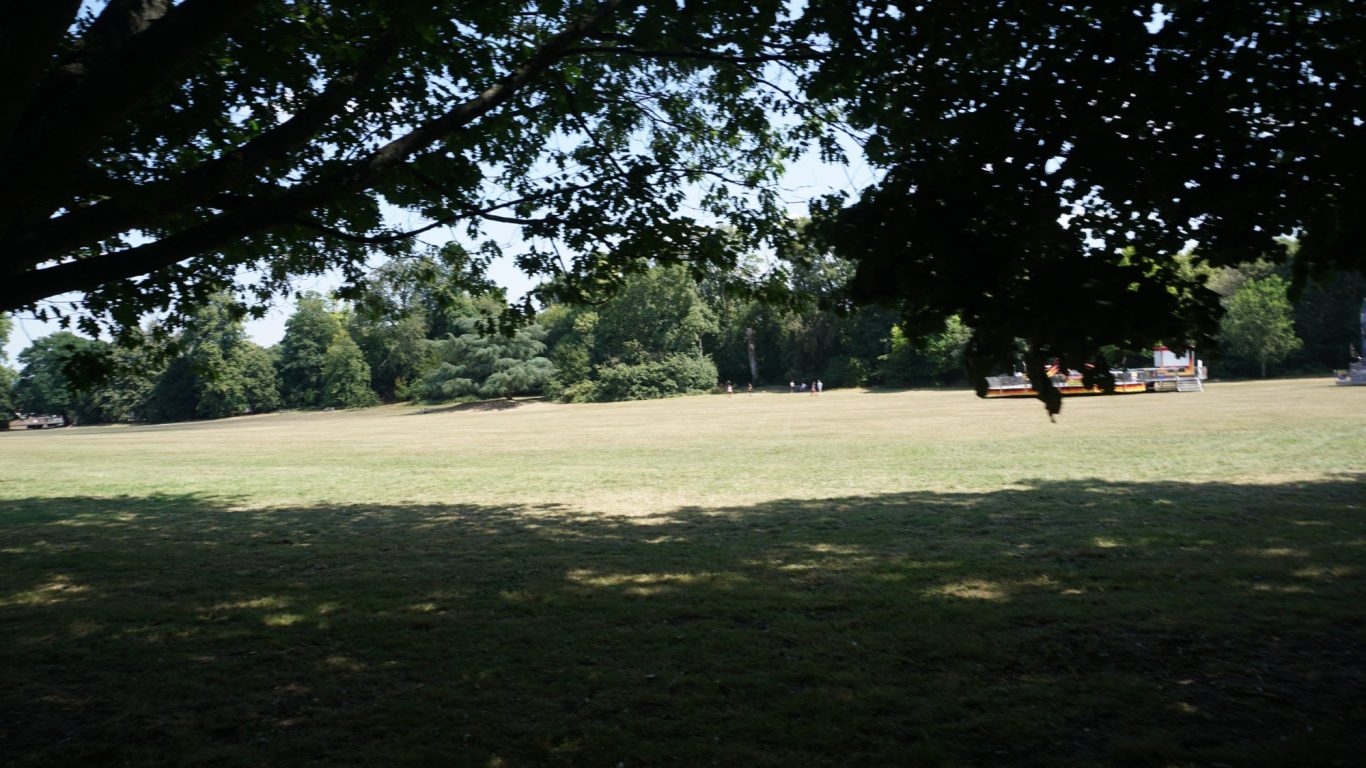 A sunny park with grassy fields and scattered trees, offering shaded areas.