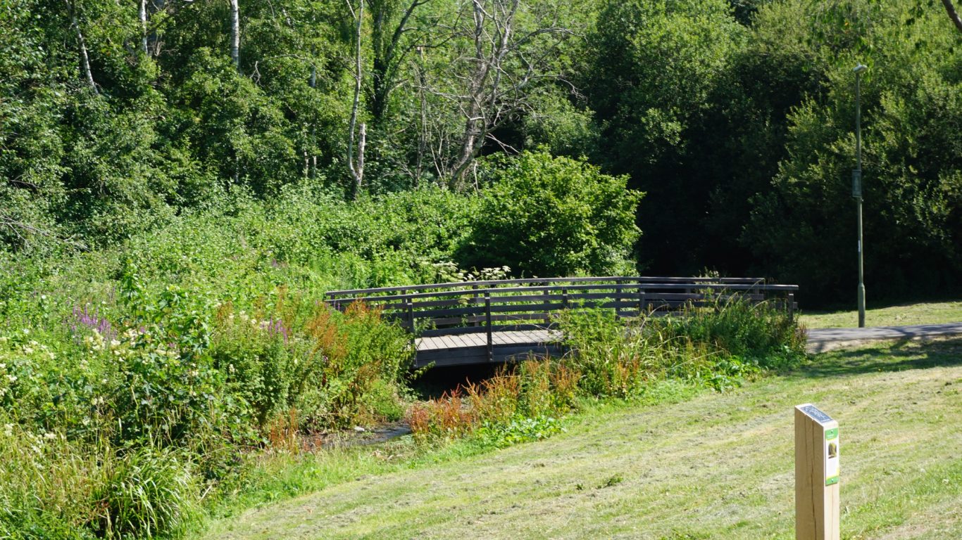 A small wooden bridge over a stream, surrounded by lush greenery and trees.