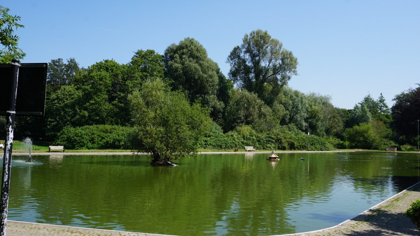 Lush green park with a tranquil pond and trees under a clear blue sky.